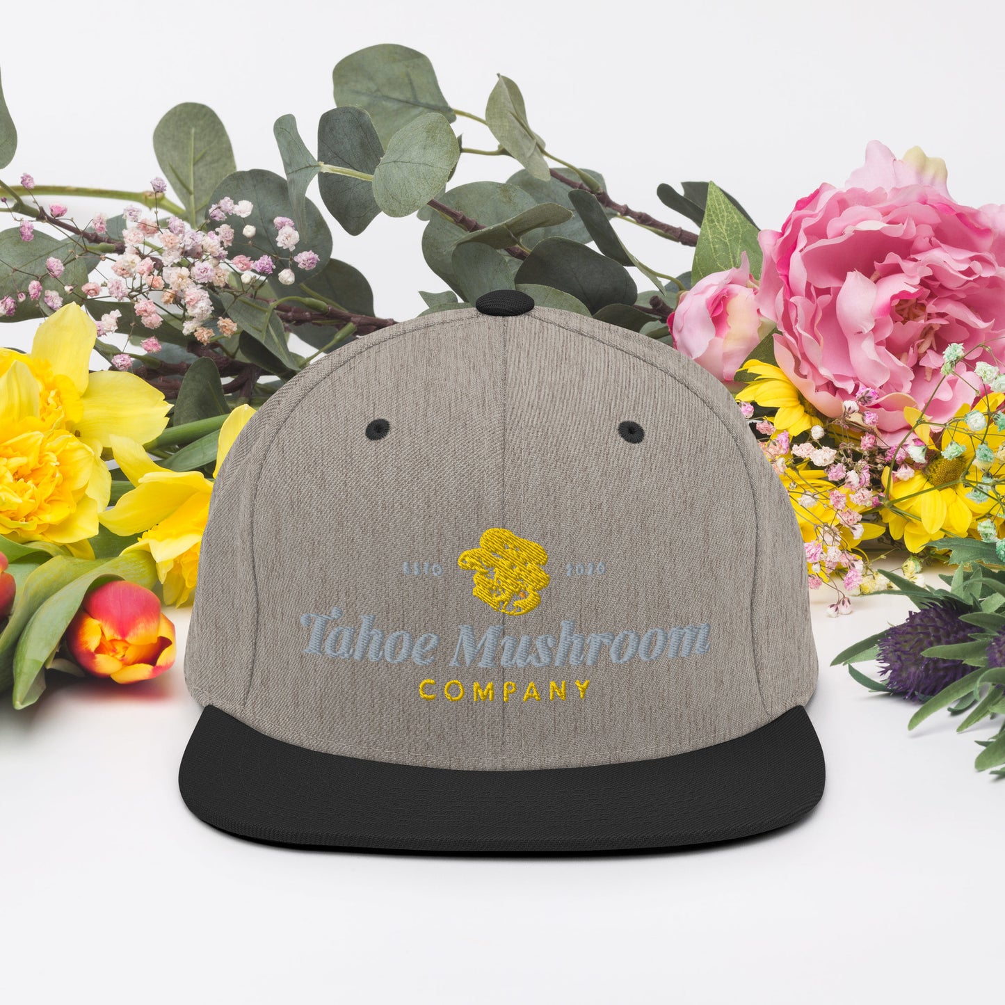 Snapback Hat