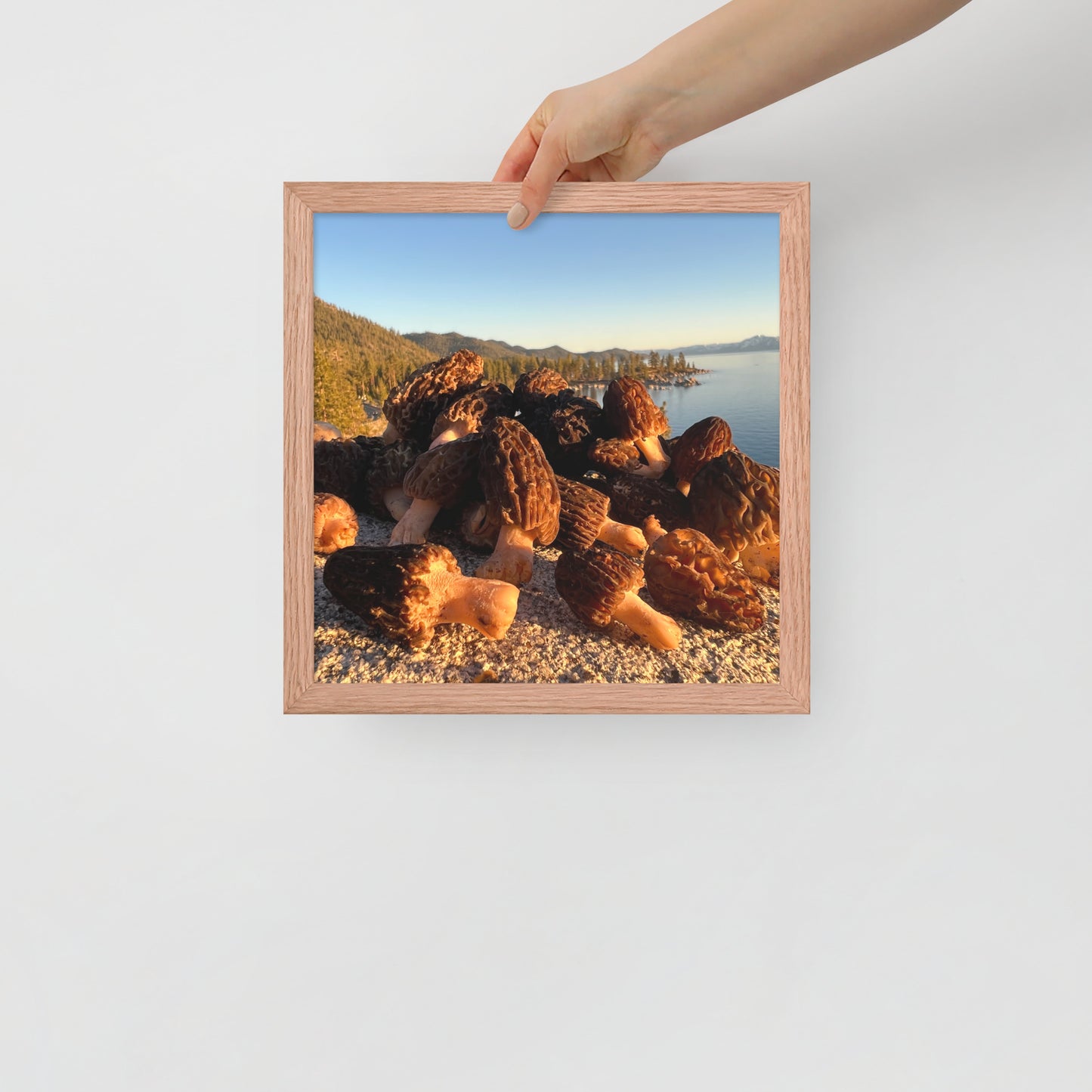 Framed poster