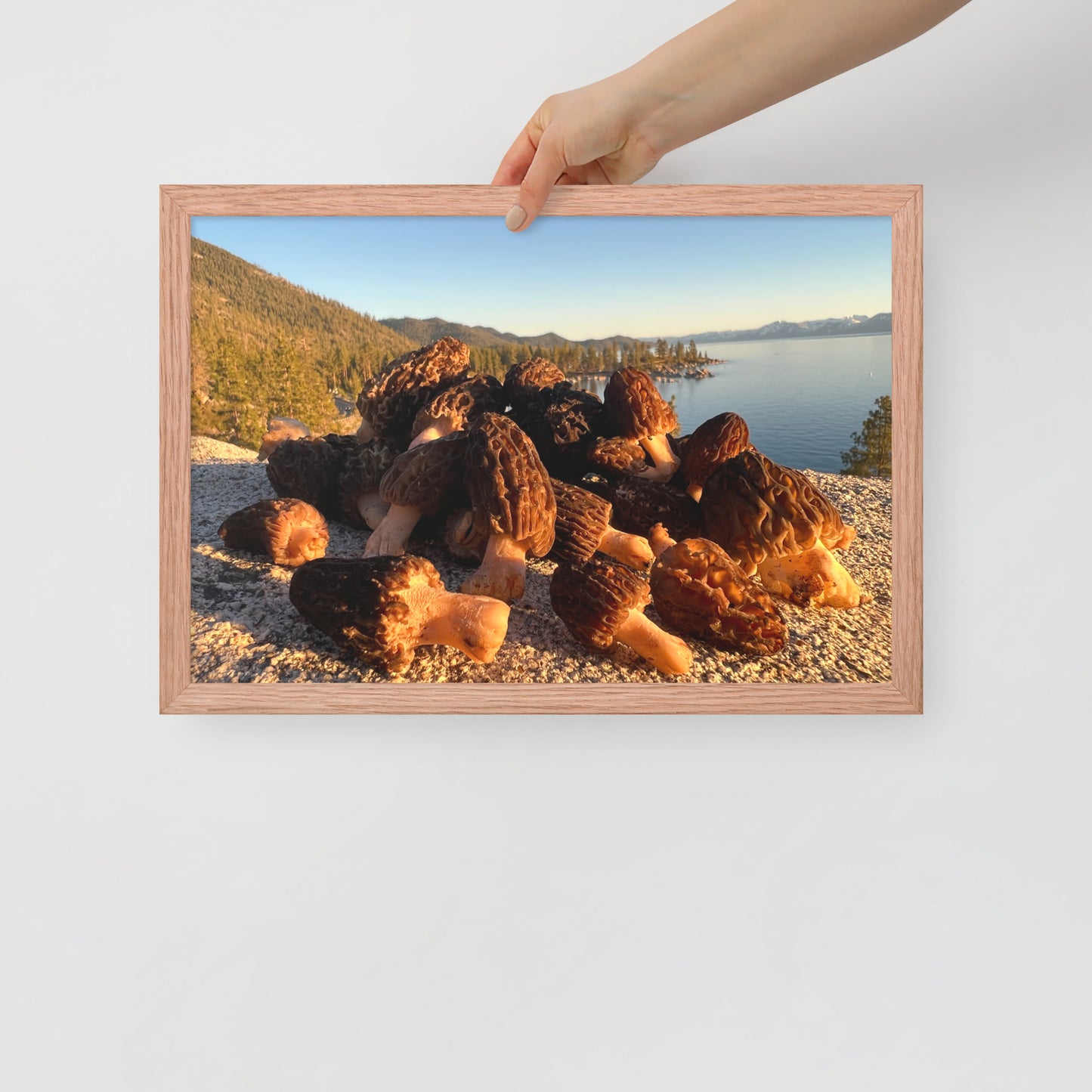 Framed poster
