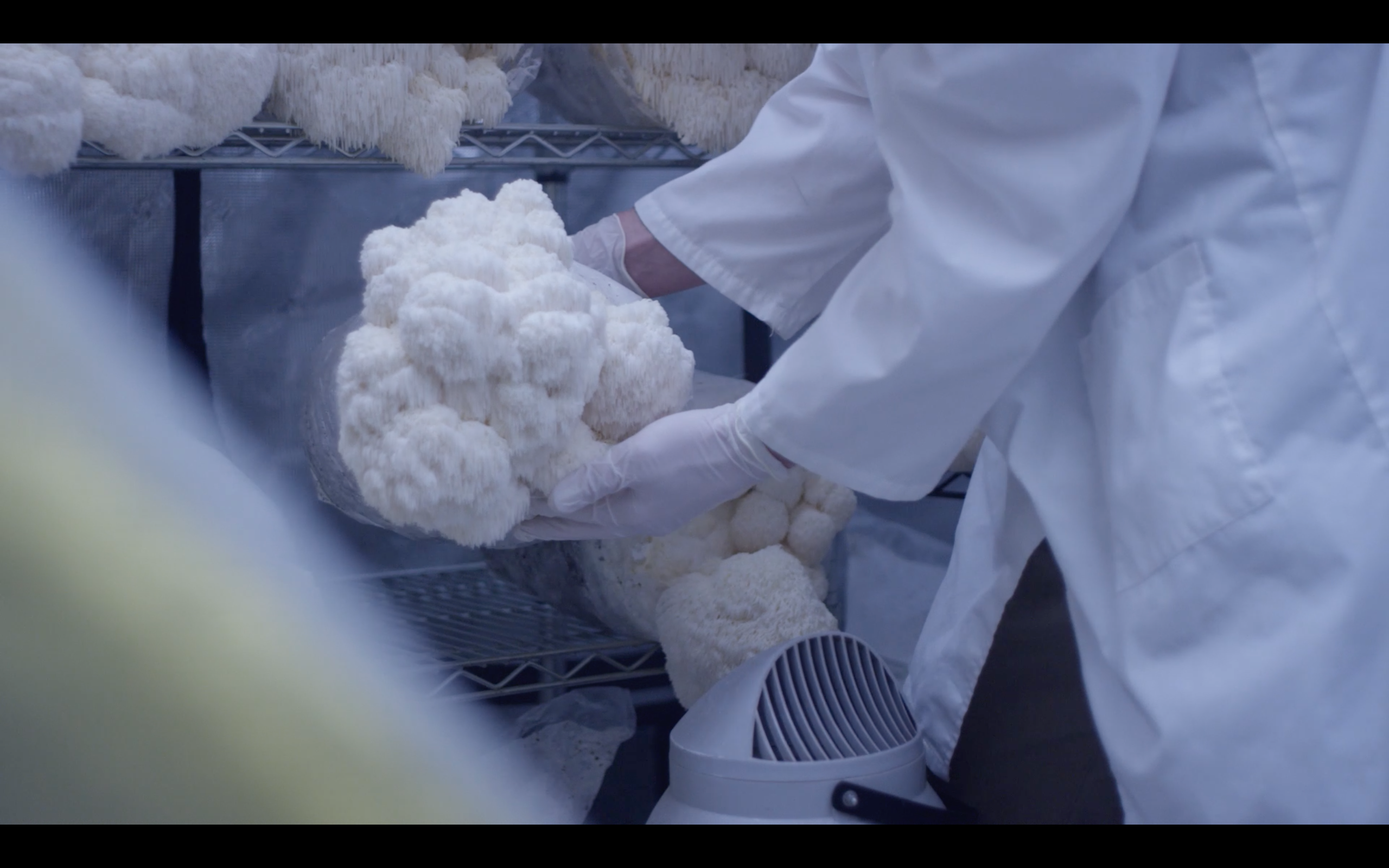 Load video: 