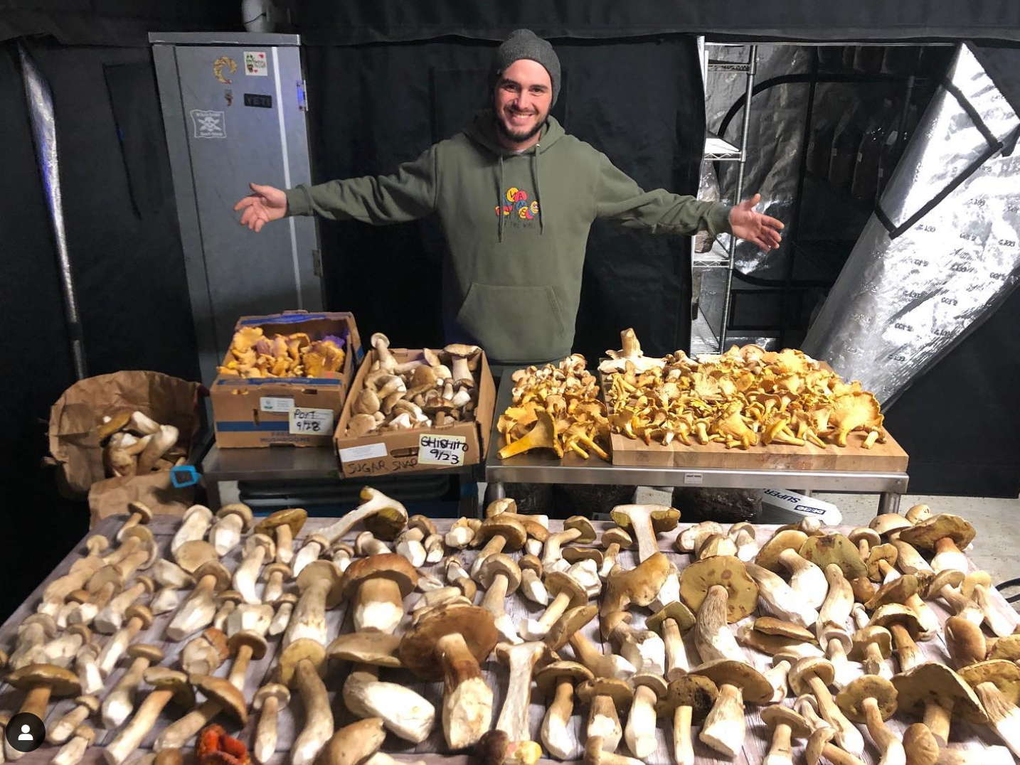 Mushroom Spring Foray Experience: Sierra Nevada Mushroom Foraging Adventure + Gourmet & Medicinal Mushrooms with Mushroom-Themed Lunch