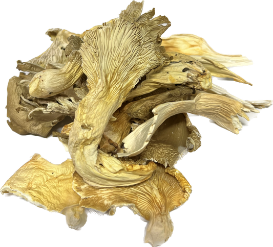 Dried Oyster Mushrooms