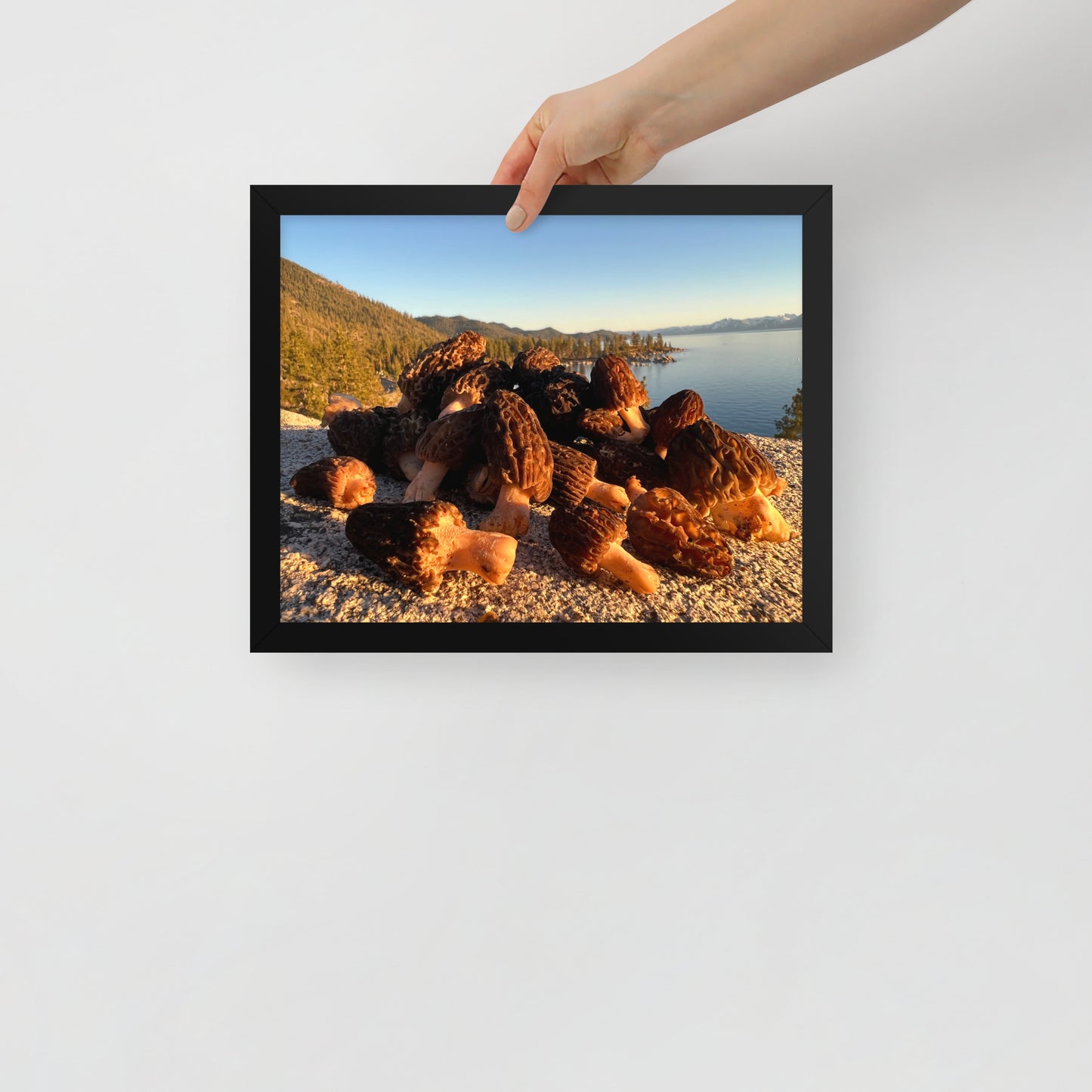 Framed poster