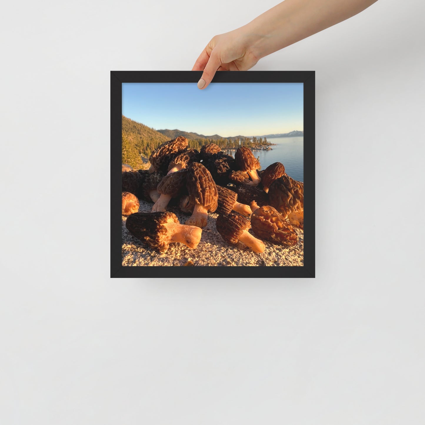 Framed poster