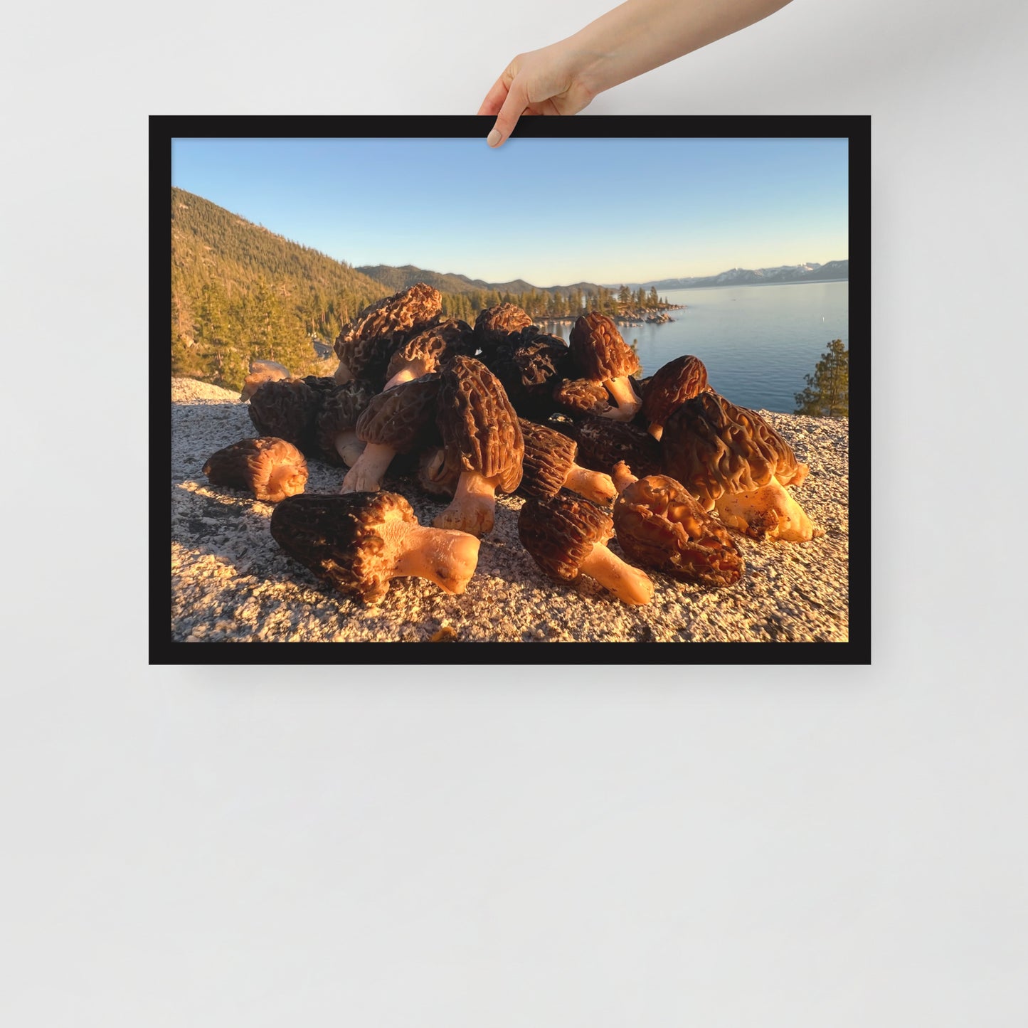 Framed poster