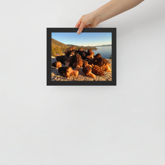 Framed poster