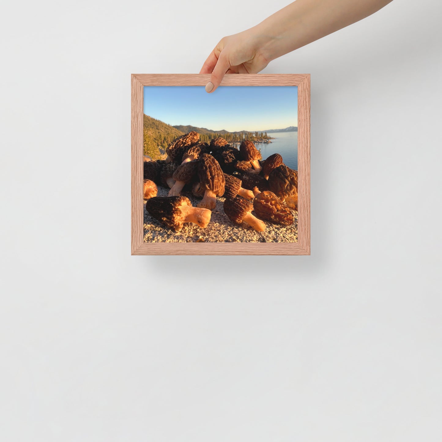 Framed poster