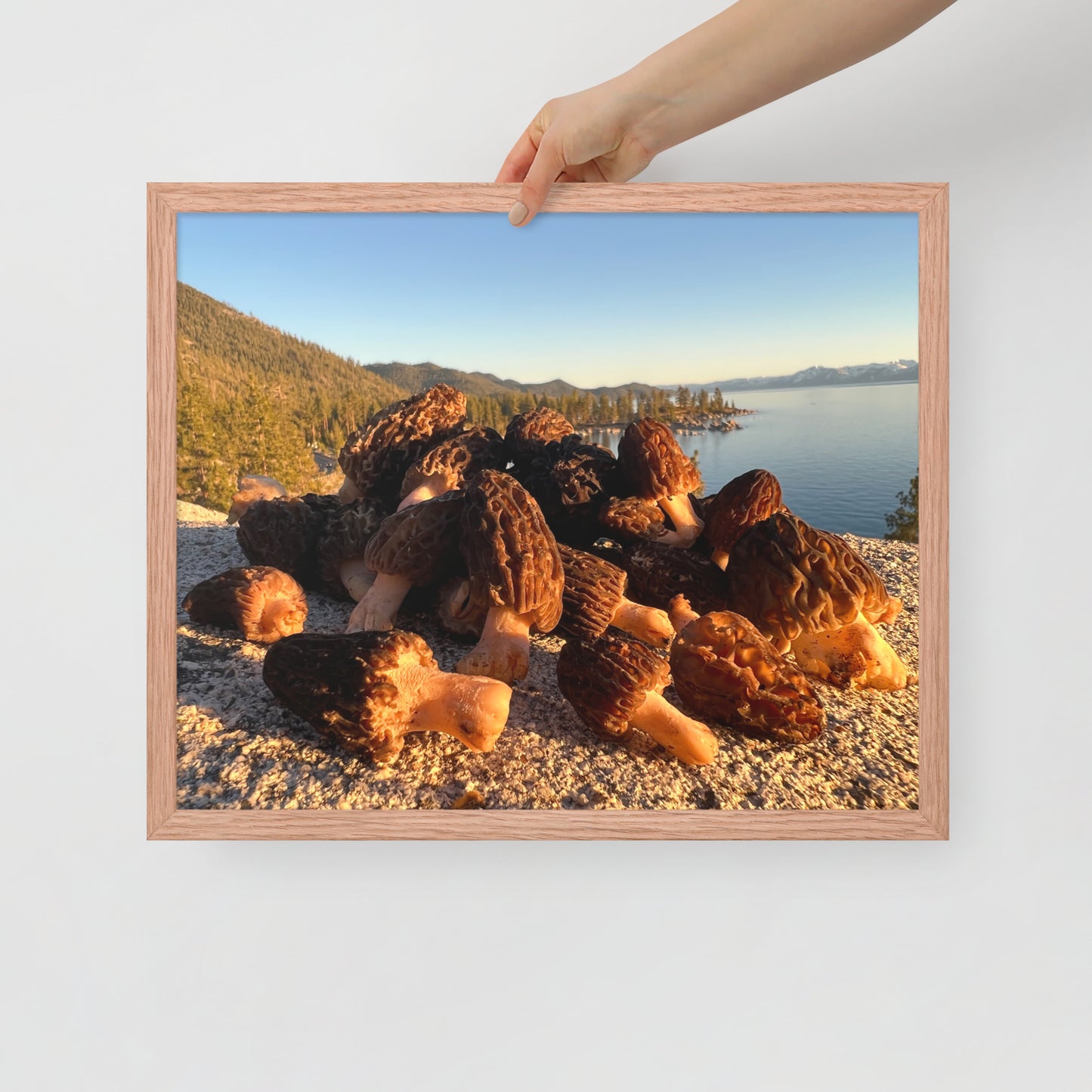 Framed poster