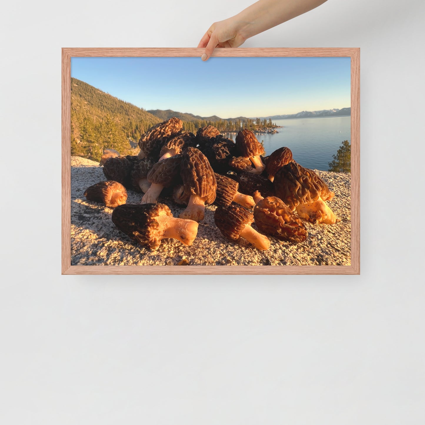 Framed poster