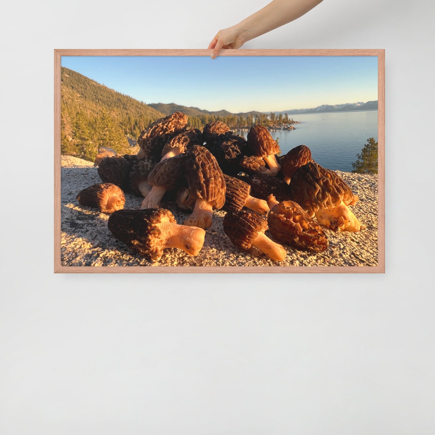 Framed poster