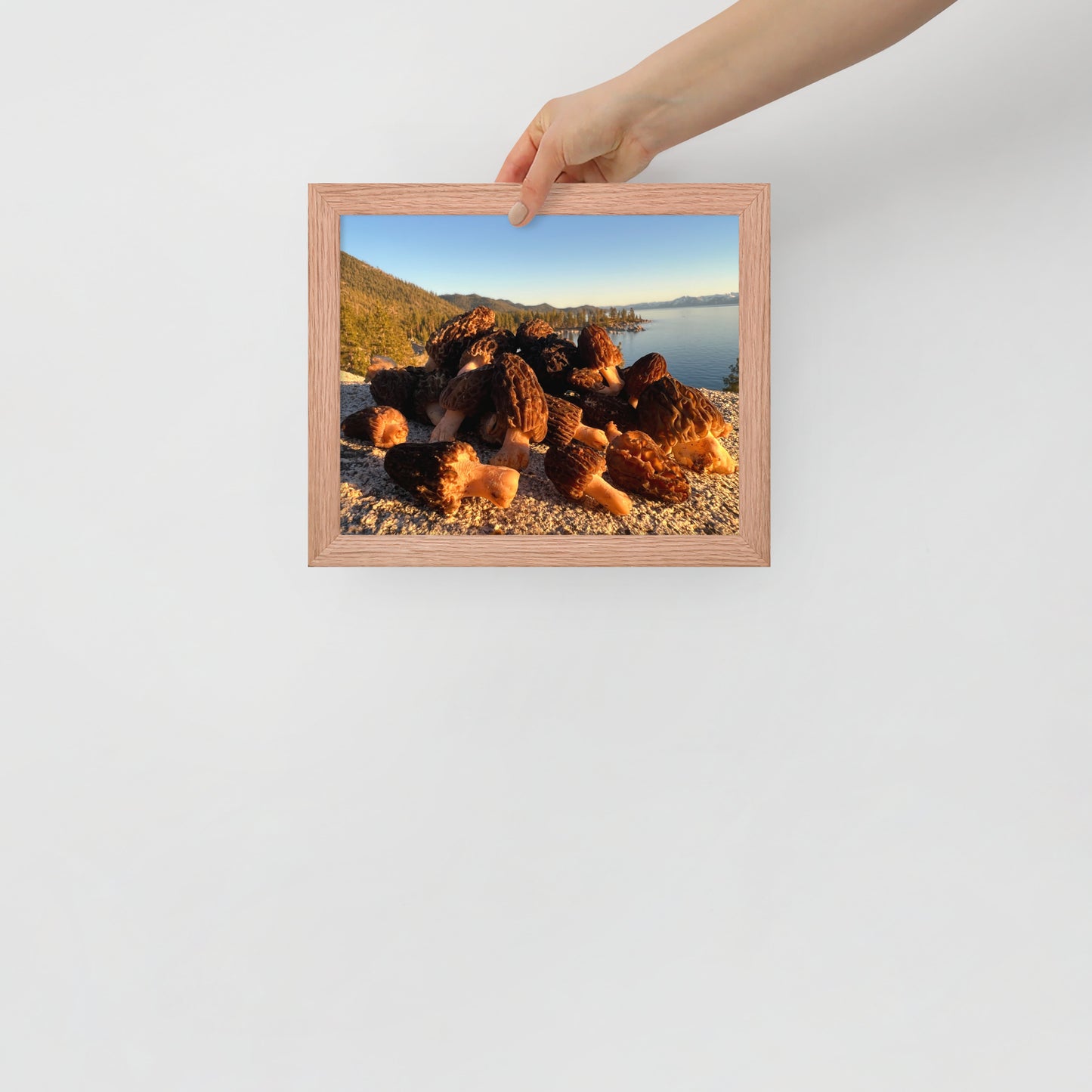 Framed poster