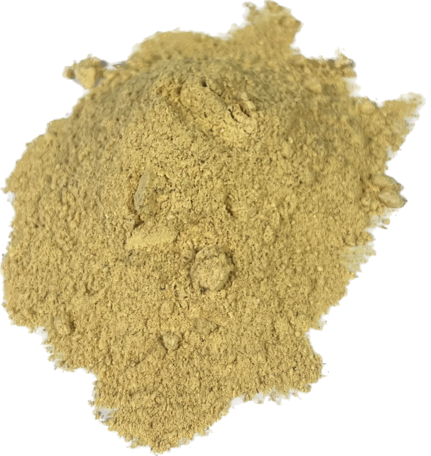 Lion's Mane Powder