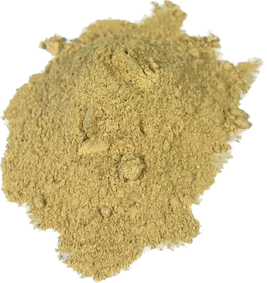 Lion's Mane Powder